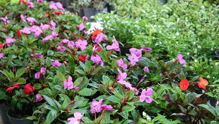  «نمایشگاه بهاره مدرس»؛ ویژه فروش محصولات دانشجویی