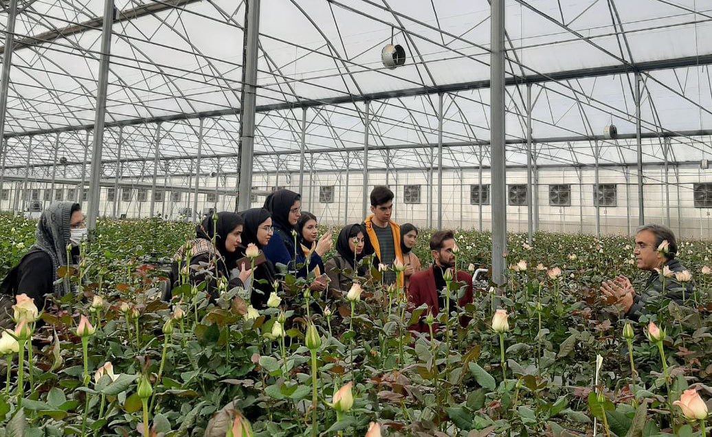 بازدید دانشجویان دانشگاه تربیت مدرس از گلخانه‌های گل رز 