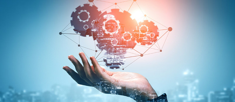 Innovation and entrepreneurship