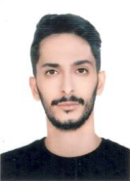 مجتبی کرمانی