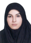zeinab Rostami NajafAbadi