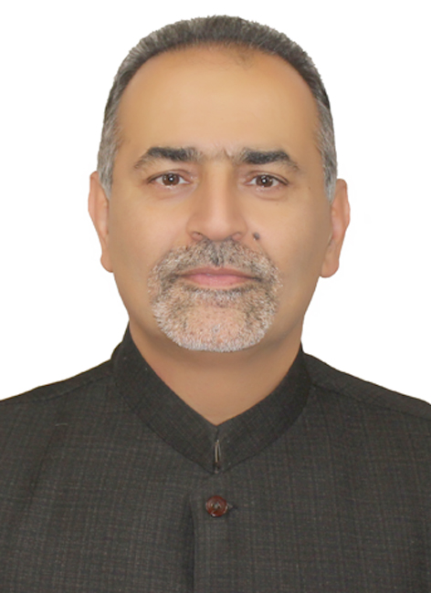 Seyed Hamidreza  Sadeghi