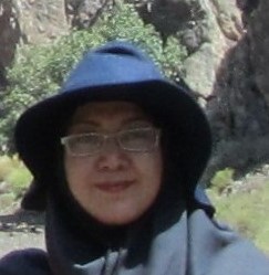 Nargess Shirdashtzadeh